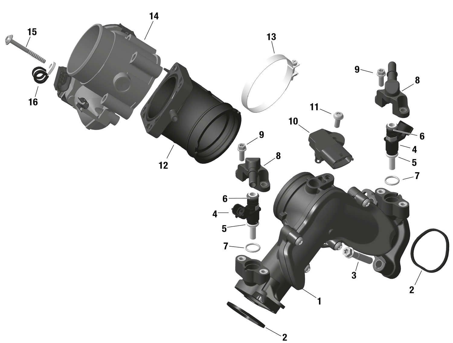 01- ROTAX - Air Intake Manifold And Throttle Body
