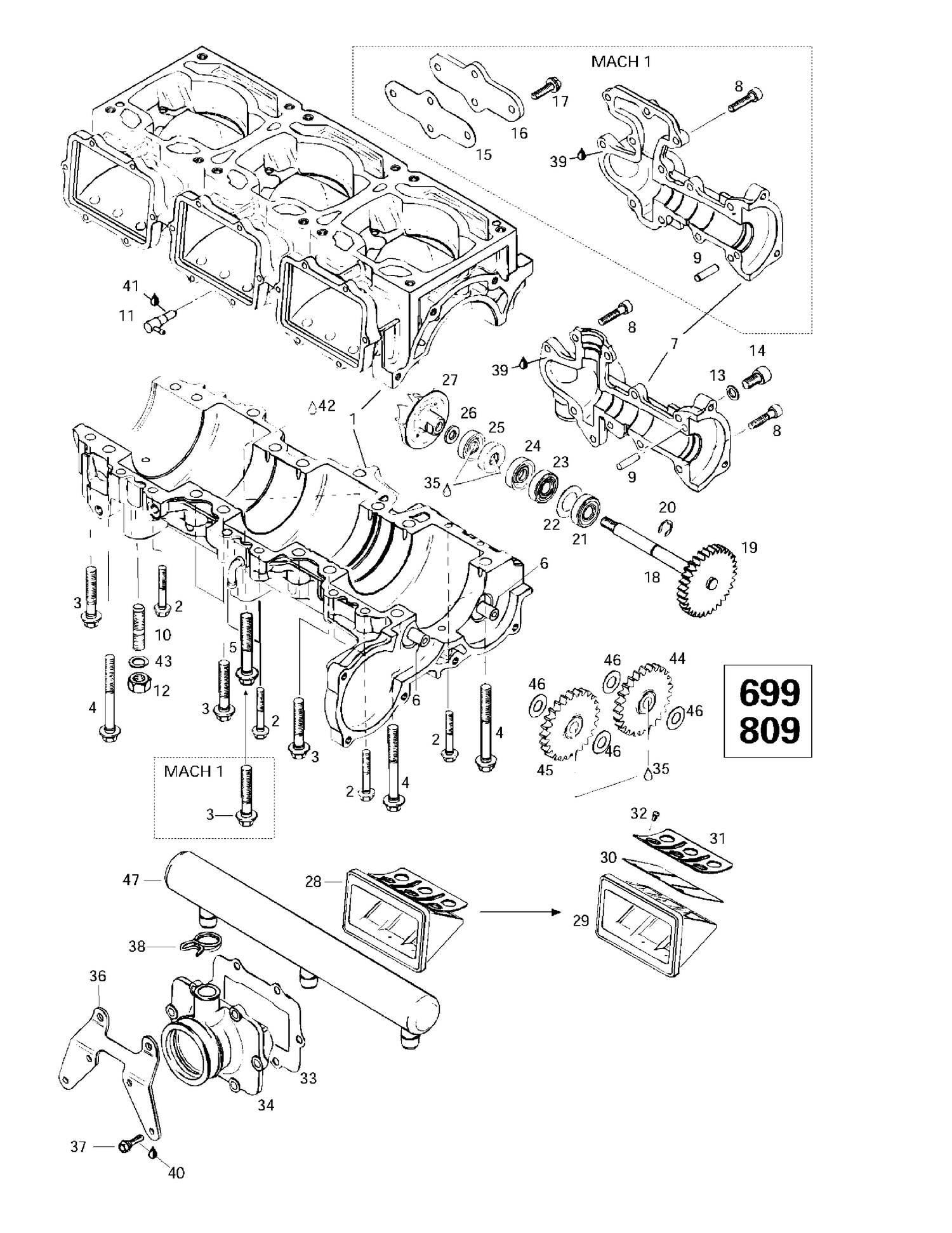 01- Crankcase, Reed Valve, Water Pump (699,809)