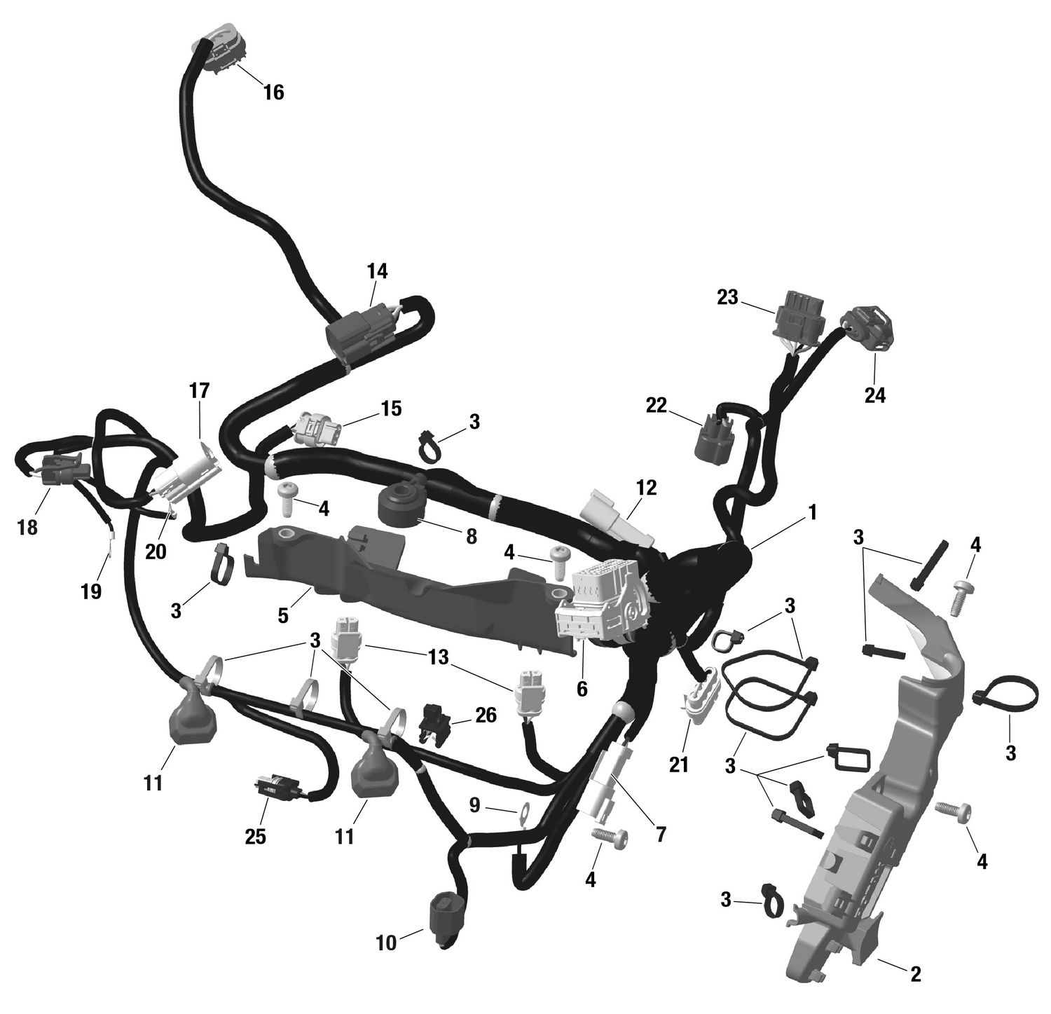 01- ROTAX - Engine Harness And Electronic Module