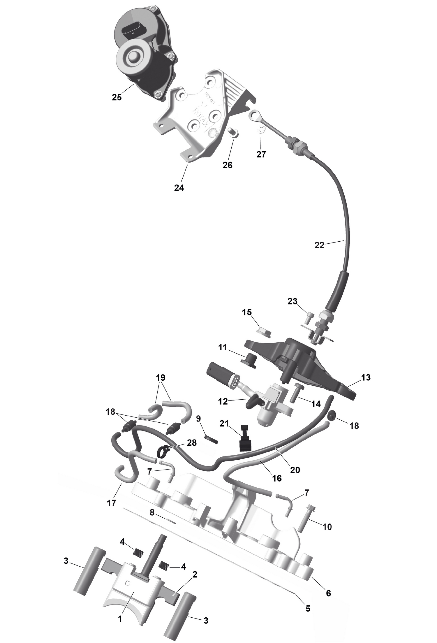 01- ROTAX - RAVE Valve