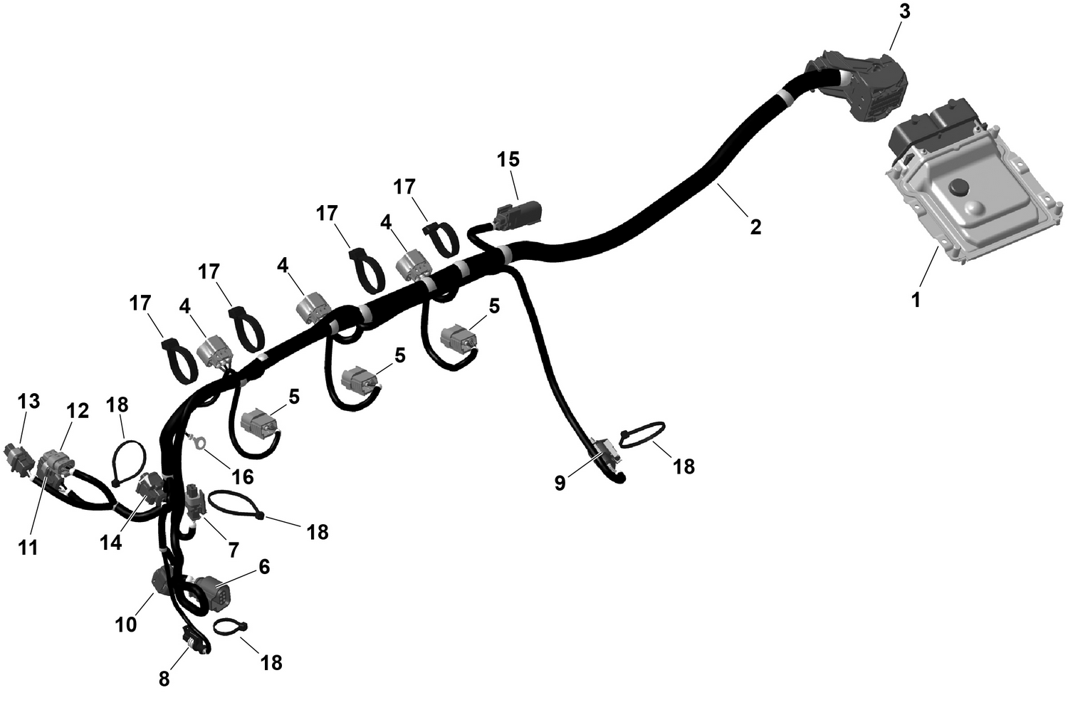 01- ROTAX - Engine Harness And Electronic Module
