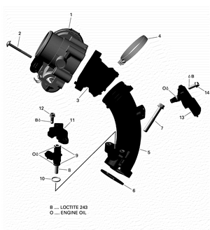 01- Rotax - Air Intake Manifold And Throttle Body Schematic