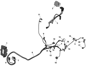 01- Rotax - Engine Harness And Electronic Module Defender Schematic