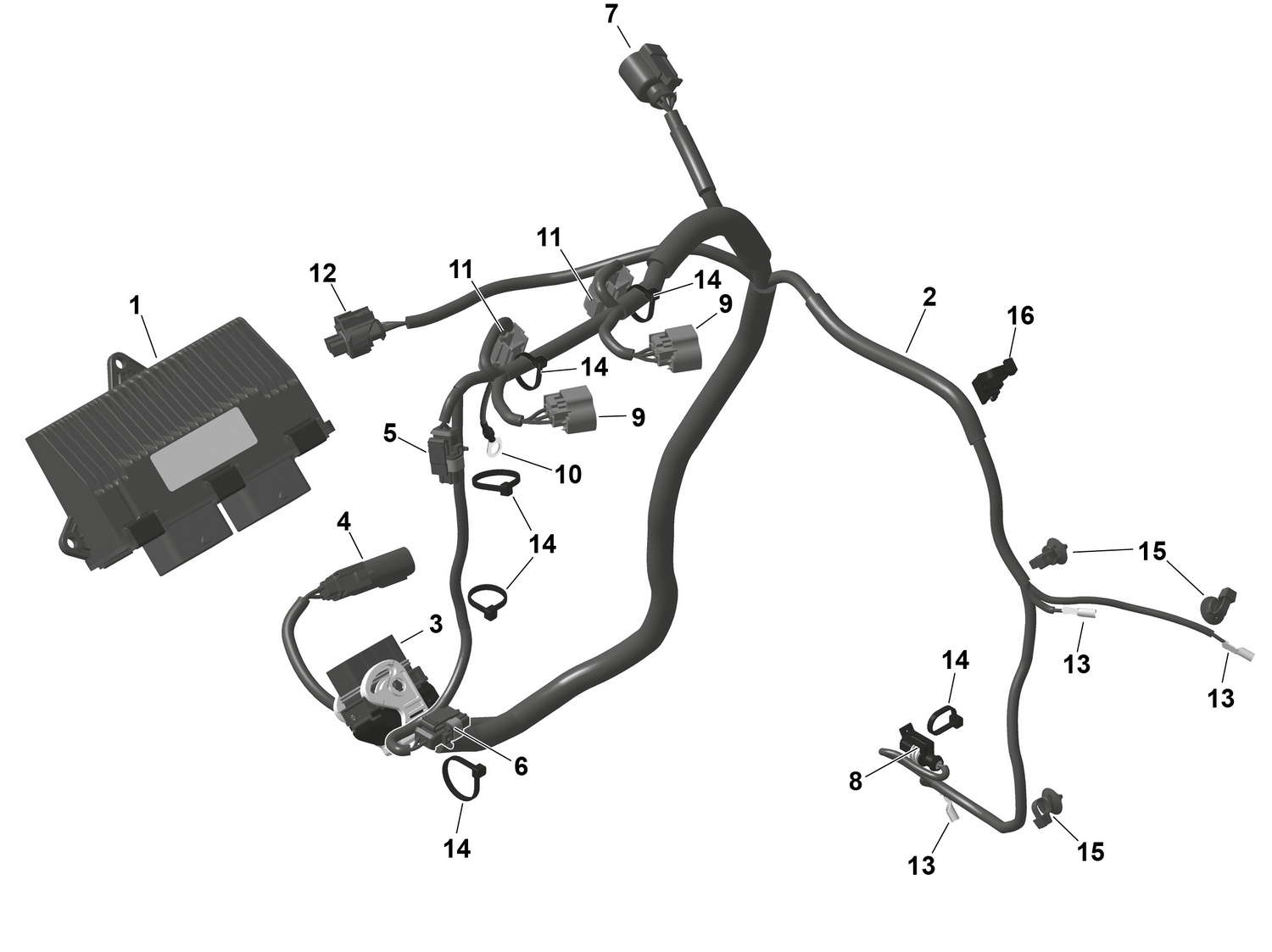 01- ROTAX - Engine Harness And Electronic Module