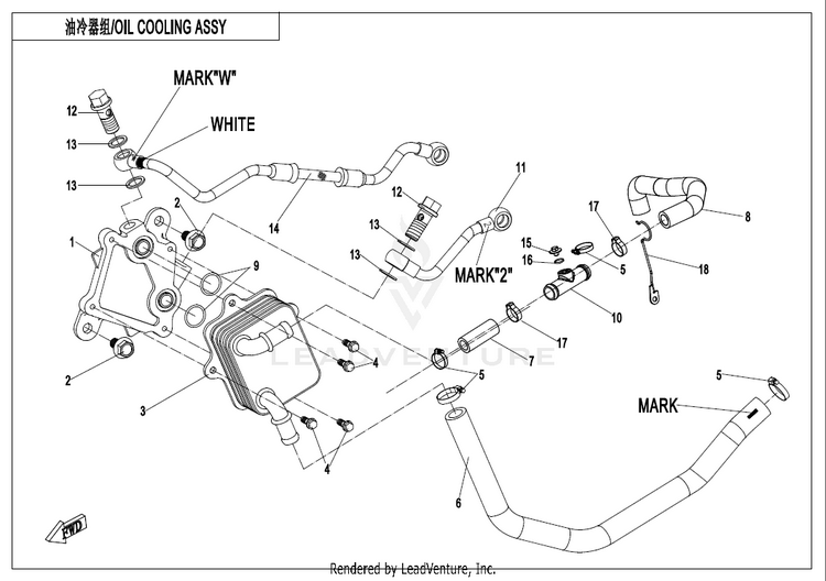 Oil Cooling System. CF800AU-2A CFORCE 800 EPS 2020 Crystal Orange Schematic