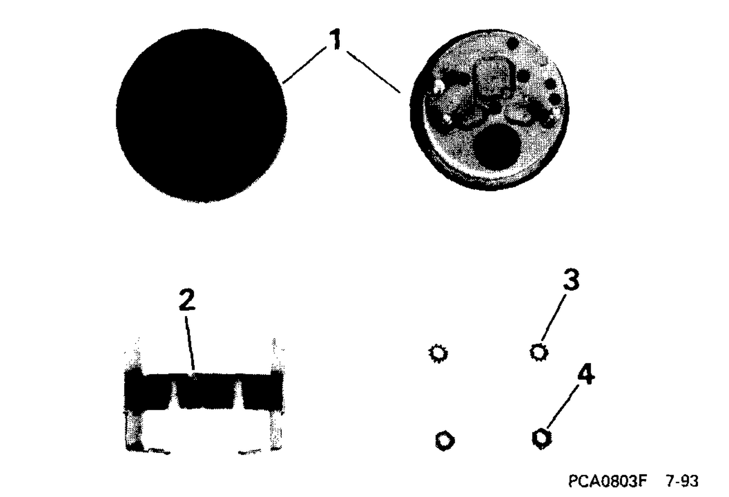 BEZEL ASSEMBLY -- HOLE PLUG -- 2 IN. GAUGE