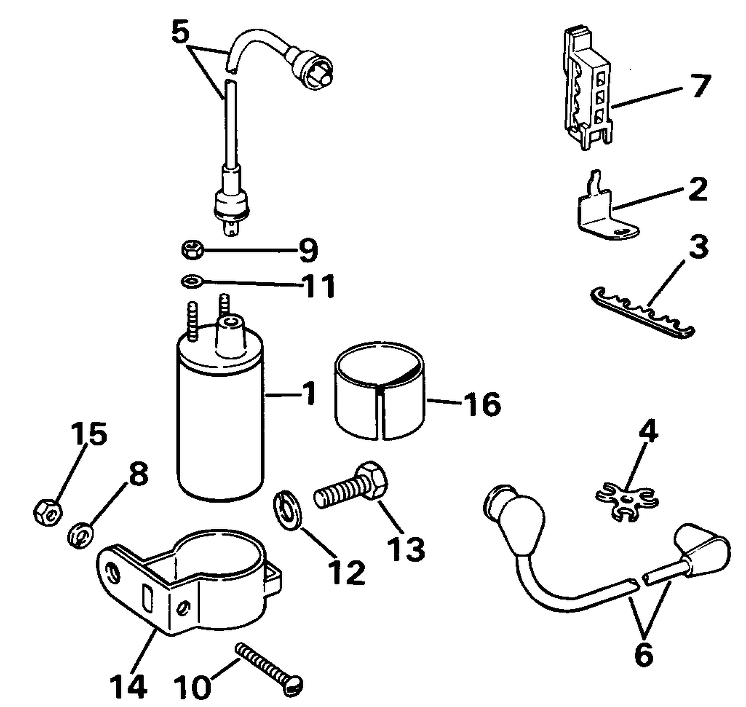 IGNITION COIL & LEADS