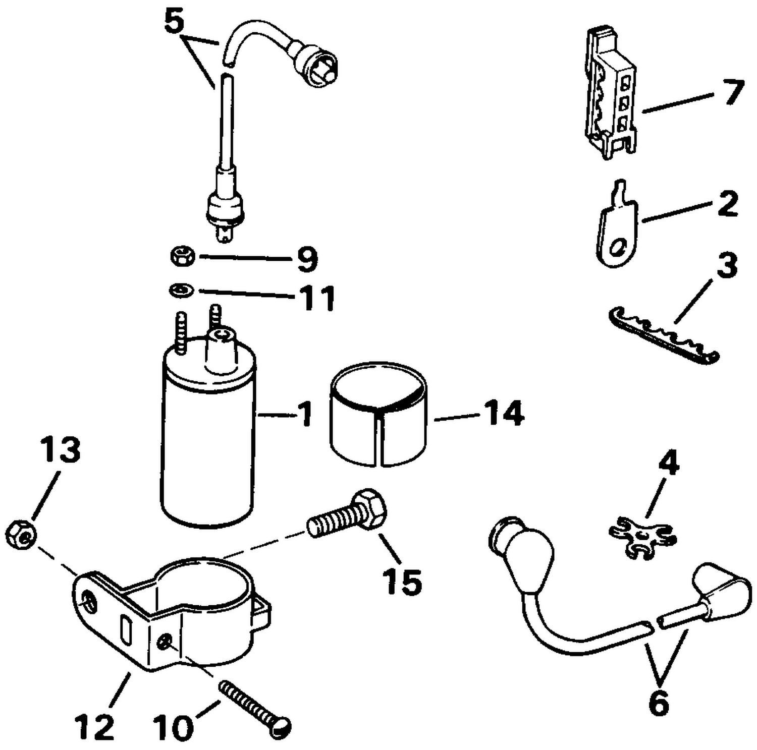 IGNITION COIL AND LEADS