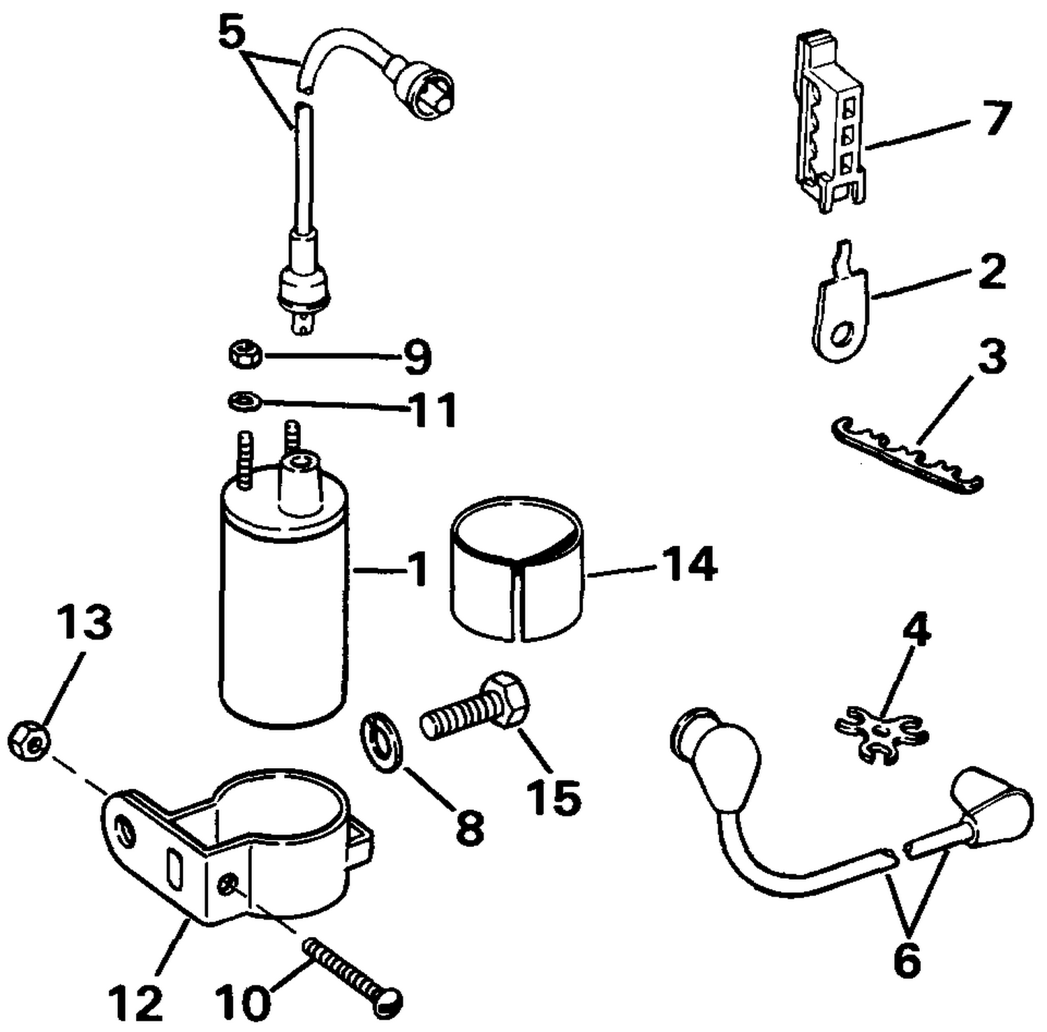 IGNITION COIL AND LEADS
