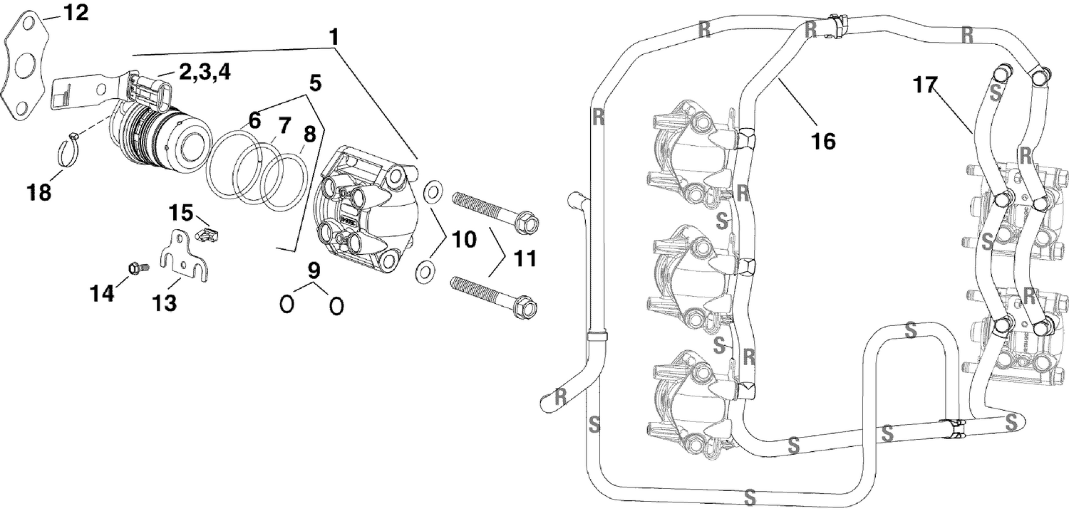 FUEL INJECTOR & RAILS