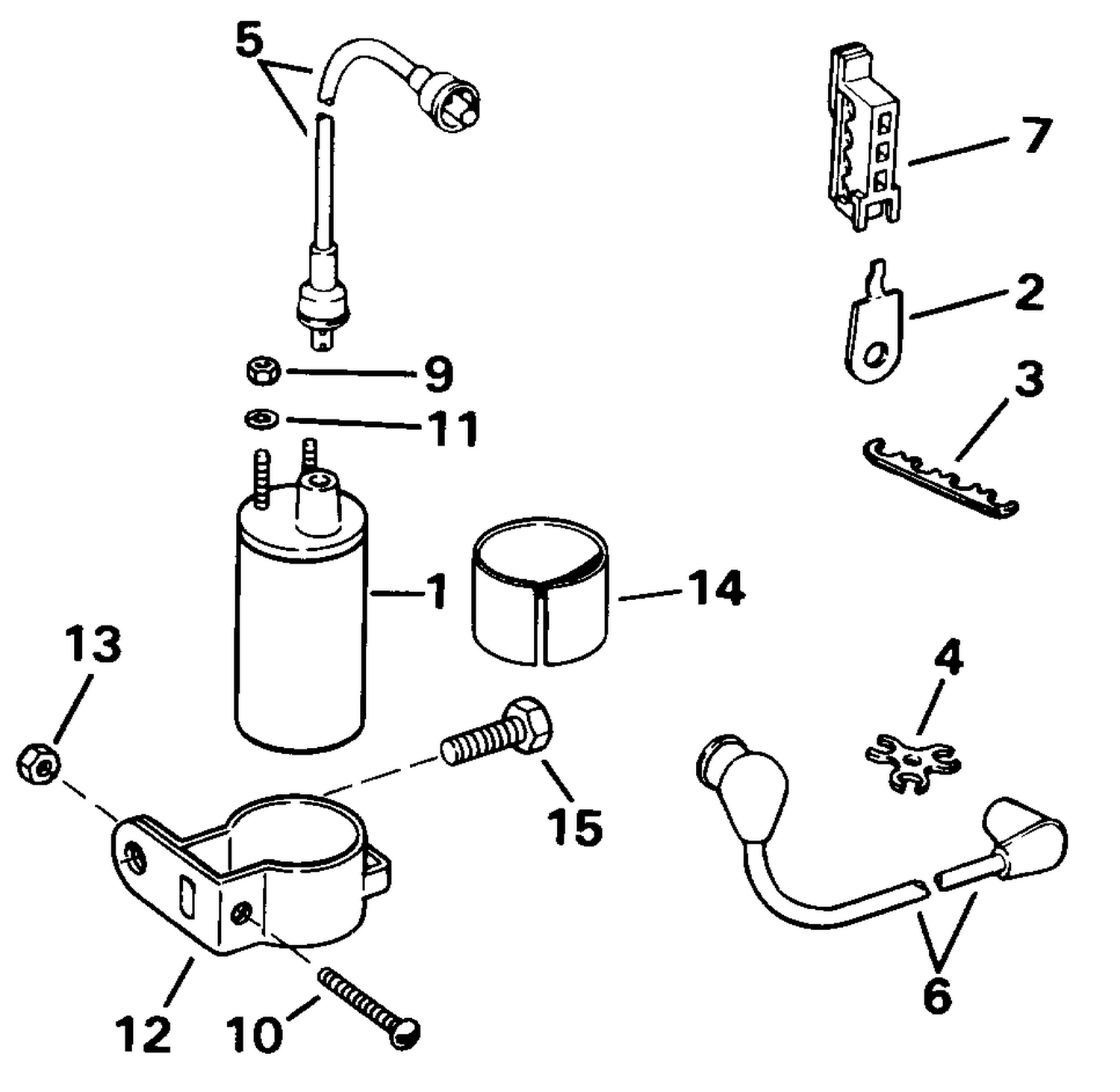 IGNITION COIL & LEADS