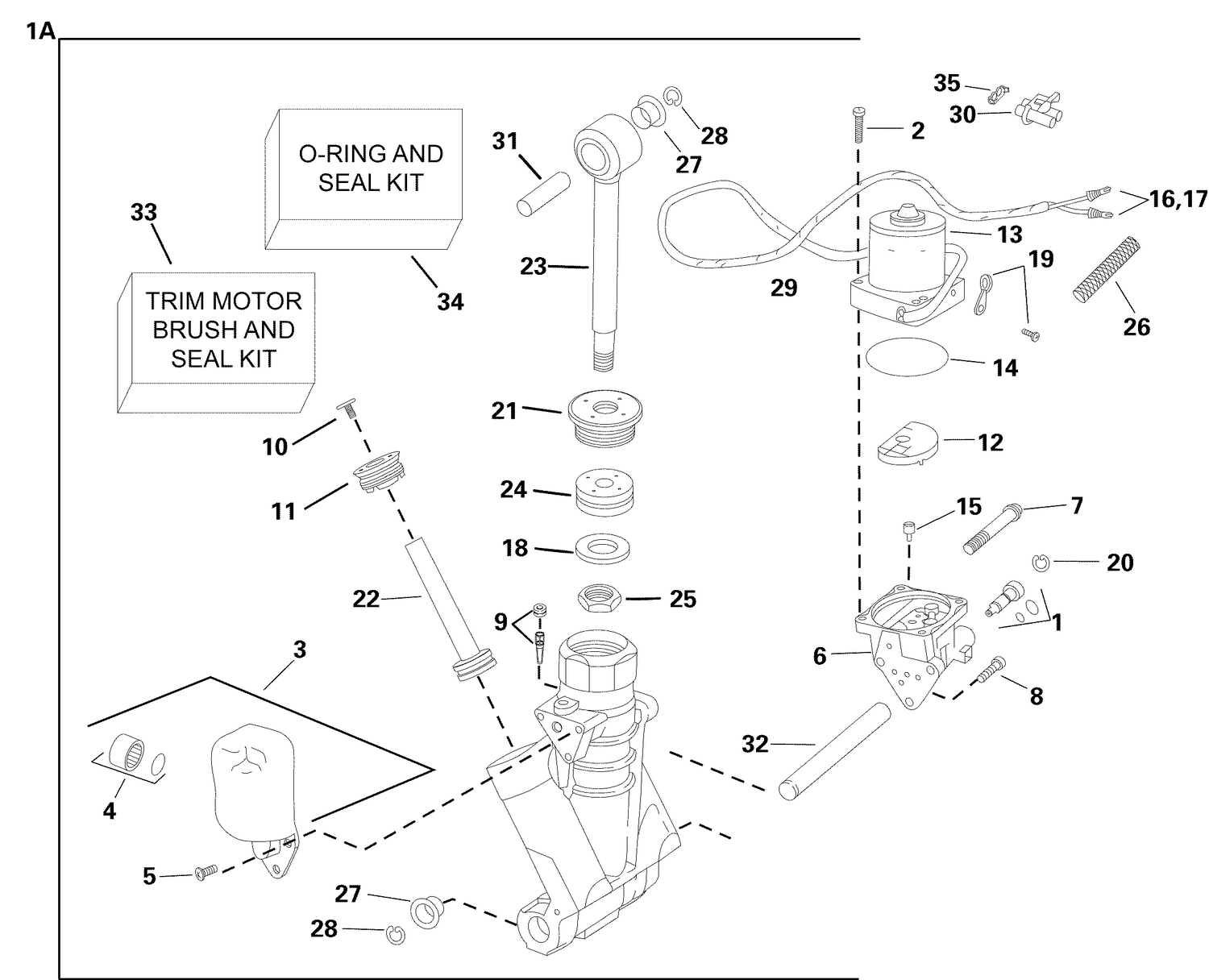 TRIM & TILT HYDRAULIC ASSEMBLY