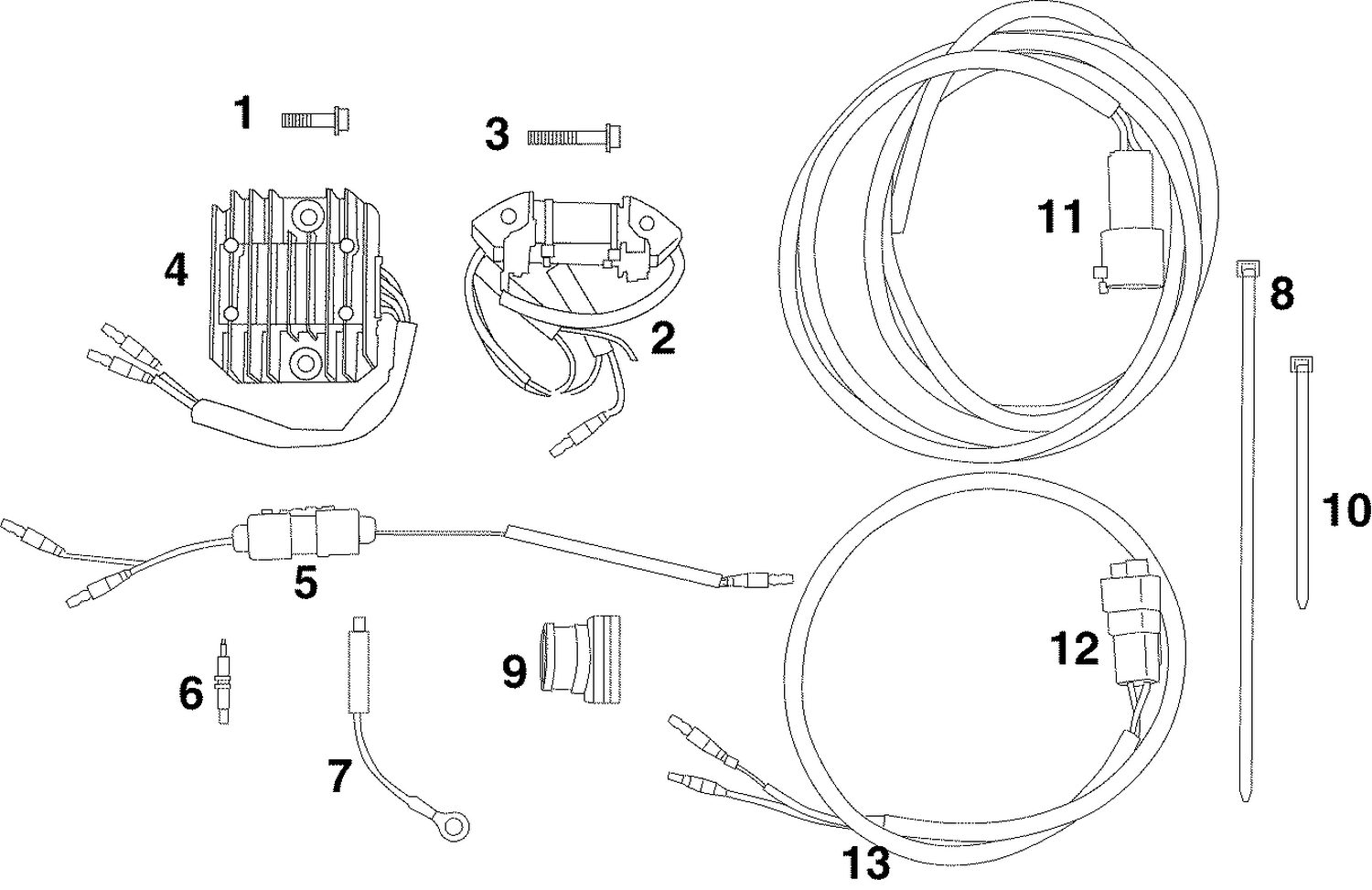 BATTERY CHARGING KIT (Rope Start Models)