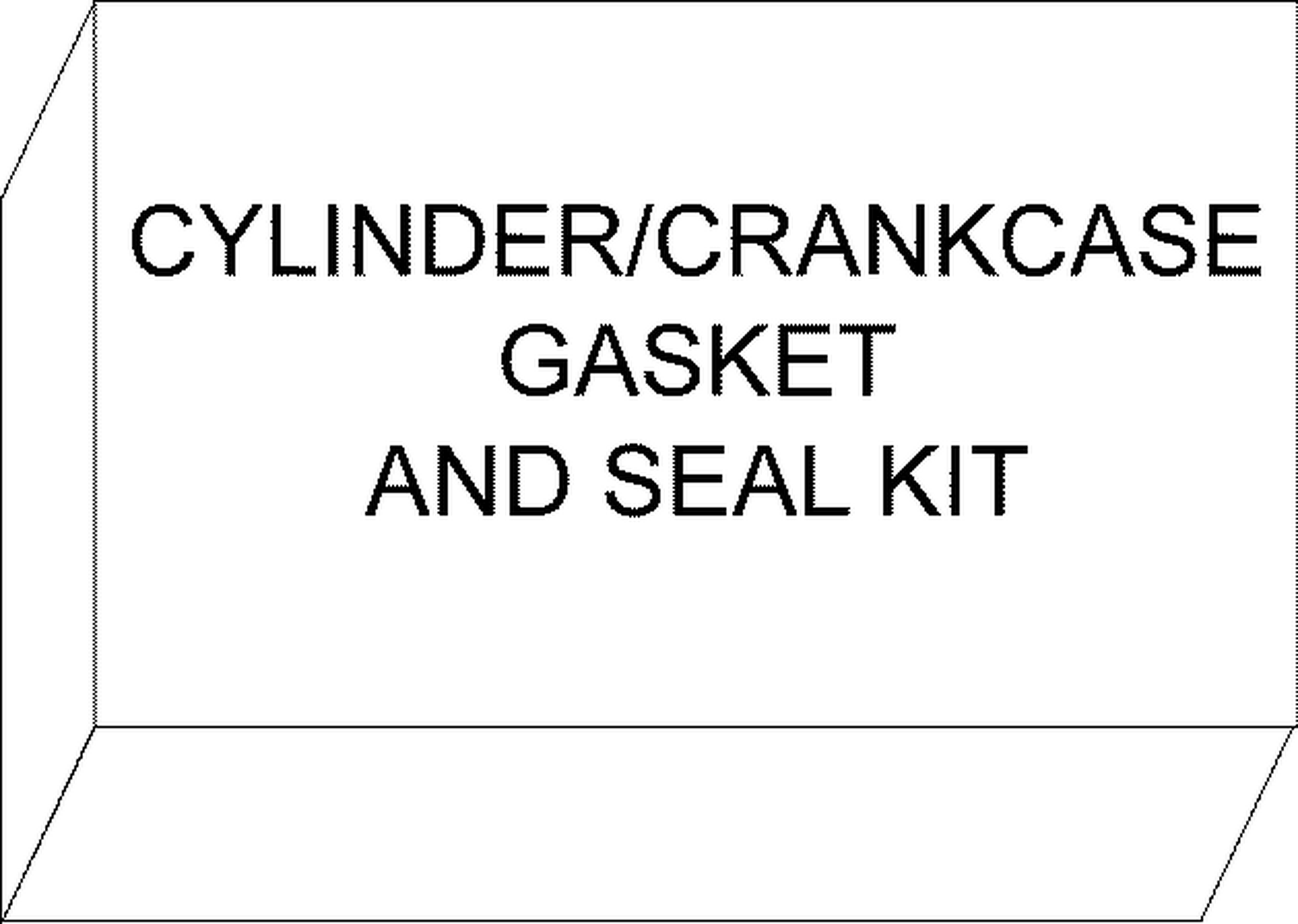 CYLINDER & CRANKCASE GASKET & SEAL KIT