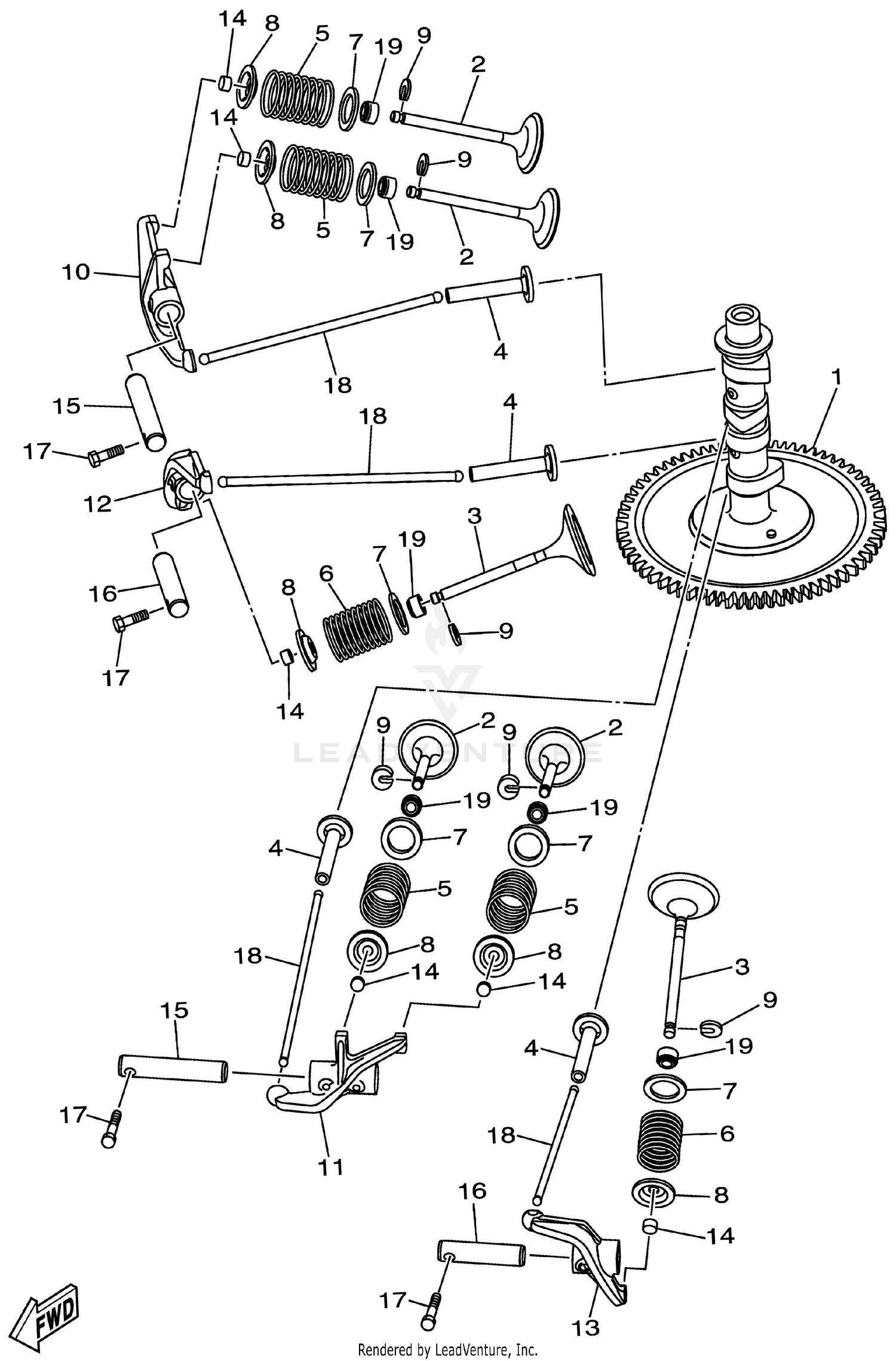 Camshaft & Valve