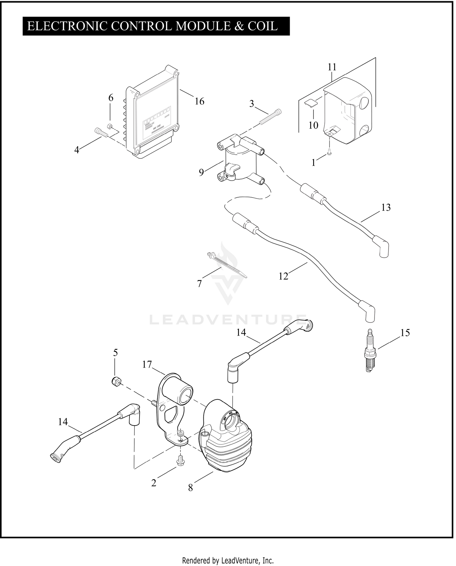 ELECTRONIC CONTROL MODULE & COIL