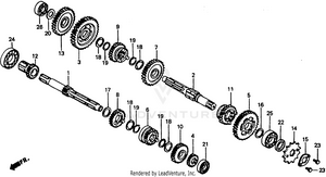 Transmission Schematic