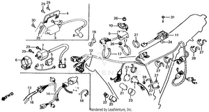 Wire Harness + Ignition Coil + C.d.i. Unit Schematic