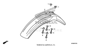 Front Fender Schematic