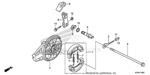 Rear Brake Panel Schematic