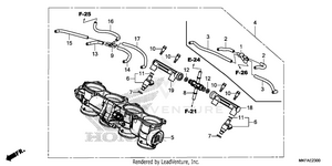 Throttle Body Schematic