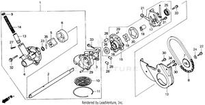 Oil Pump Schematic