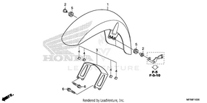 Front Fender (1) Schematic