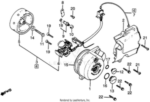 Left Crankcase Cover + Alternator 81-82 Schematic