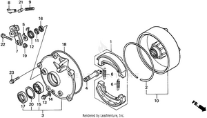 Rear Brake Drum Schematic