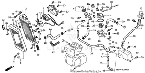 Radiator Schematic