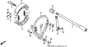 Rear Brake Panel Schematic