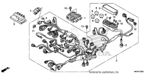 Wire Harness (1) Schematic
