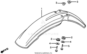 Front Fender Schematic