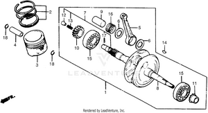 Crankshaft + Piston Schematic