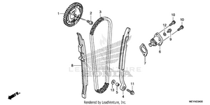 Cam Chain + Tensioner Schematic