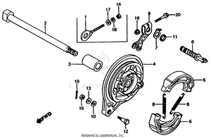 Rear Brake Panel Schematic