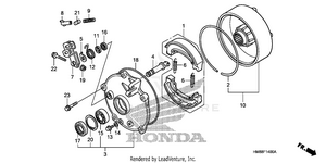 Rear Brake Drum Schematic