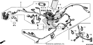 Wire Harness Schematic