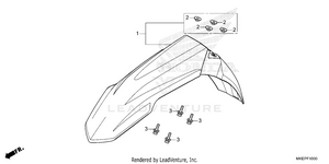 Front Fender Schematic