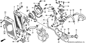Radiator Schematic