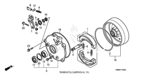 Rear Brake Drum Schematic