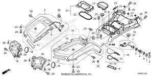 Front Fender Schematic