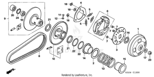 Driven Face Schematic