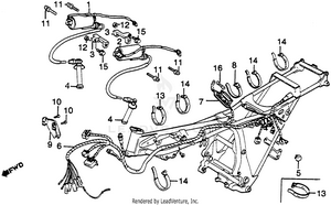 Wire Harness + Ignition Coil Schematic