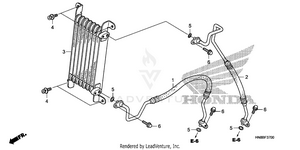 Oil Cooler Schematic