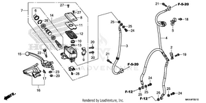 Front Brake Master       Cylinder Schematic