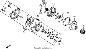 Oil Pump + Oil Filter Schematic
