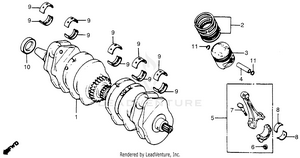 Crankshaft + Piston Schematic