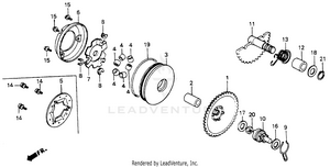 Drive Face Schematic