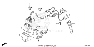 Wire Harness Schematic